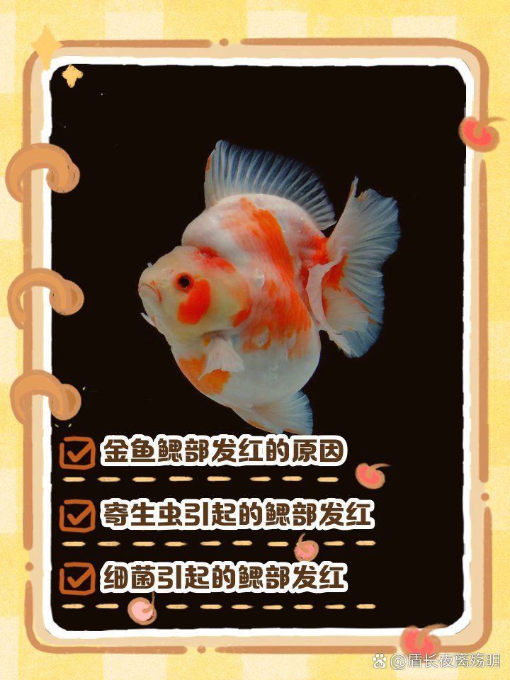 哪種藥物對魚鰓充血最有效，哪種藥物對魚鰓充血最有效，這取決于多種因素