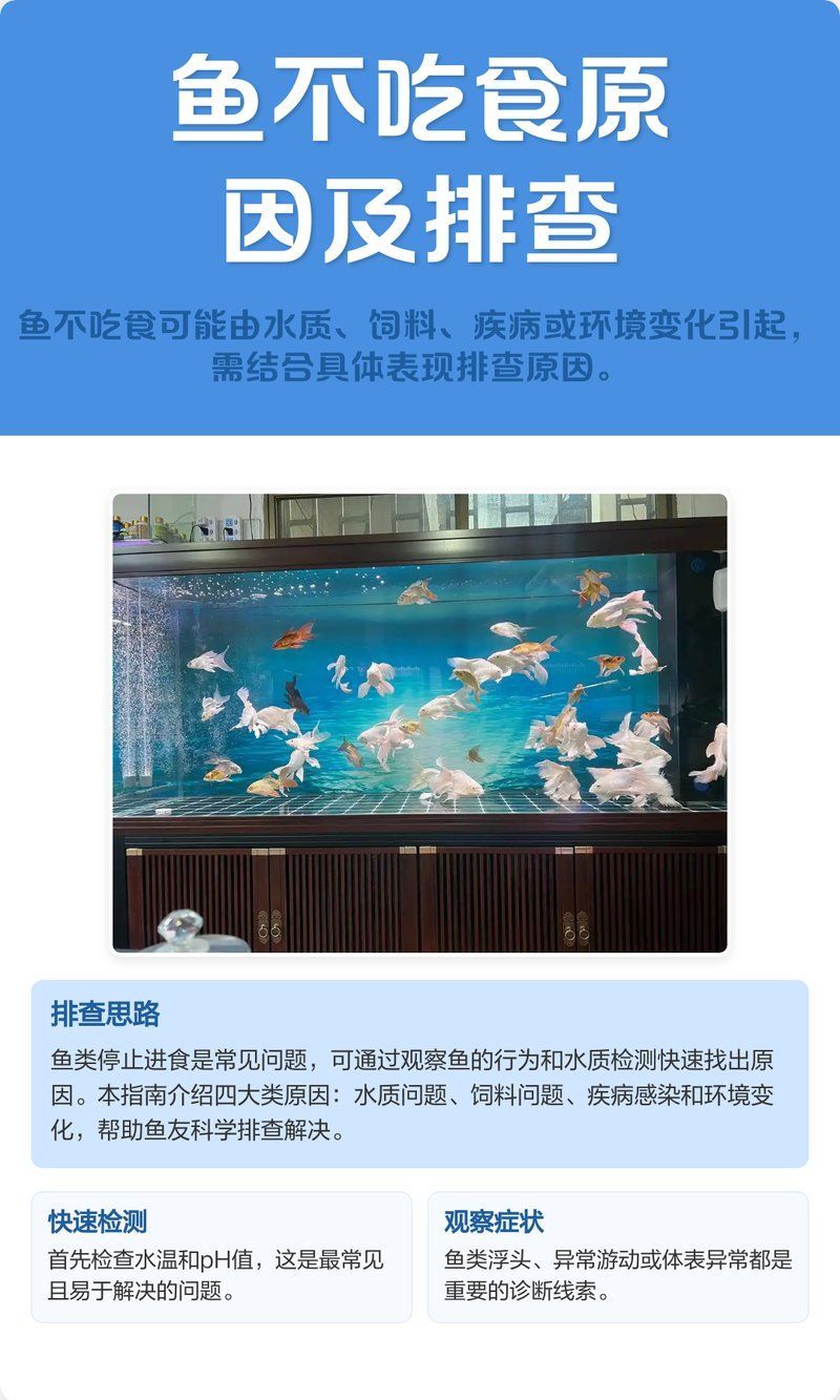 如何判斷魚是否拒食，如何判斷魚是否進入拒食狀態(tài) 如何判斷魚是否拒食，如何判斷魚是否進入拒食狀態(tài) 龍魚百科 第2張