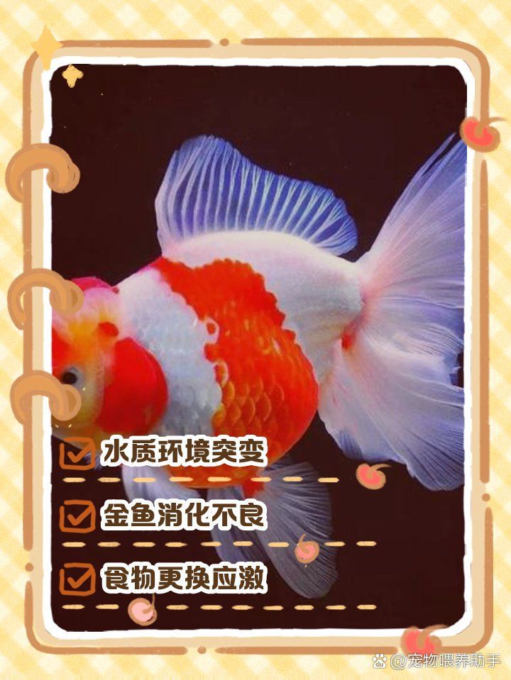 如何判斷魚是否拒食，如何判斷魚是否進入拒食狀態(tài) 如何判斷魚是否拒食，如何判斷魚是否進入拒食狀態(tài) 龍魚百科 第1張
