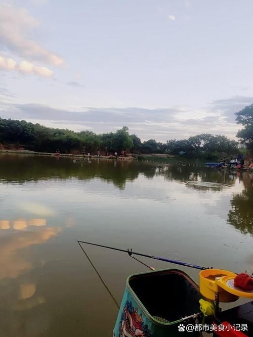 給我推薦一些廣東的釣觀魚地點，廣東釣觀魚的最佳季節