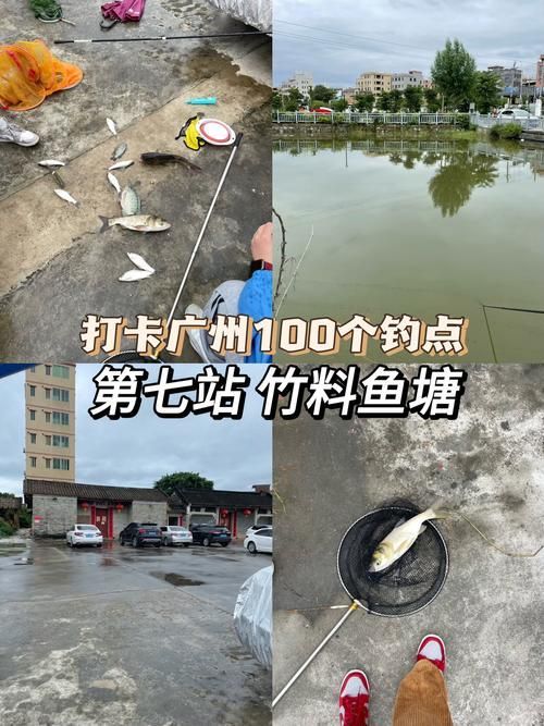給我推薦一些廣東的釣觀魚地點，廣東釣觀魚的最佳季節