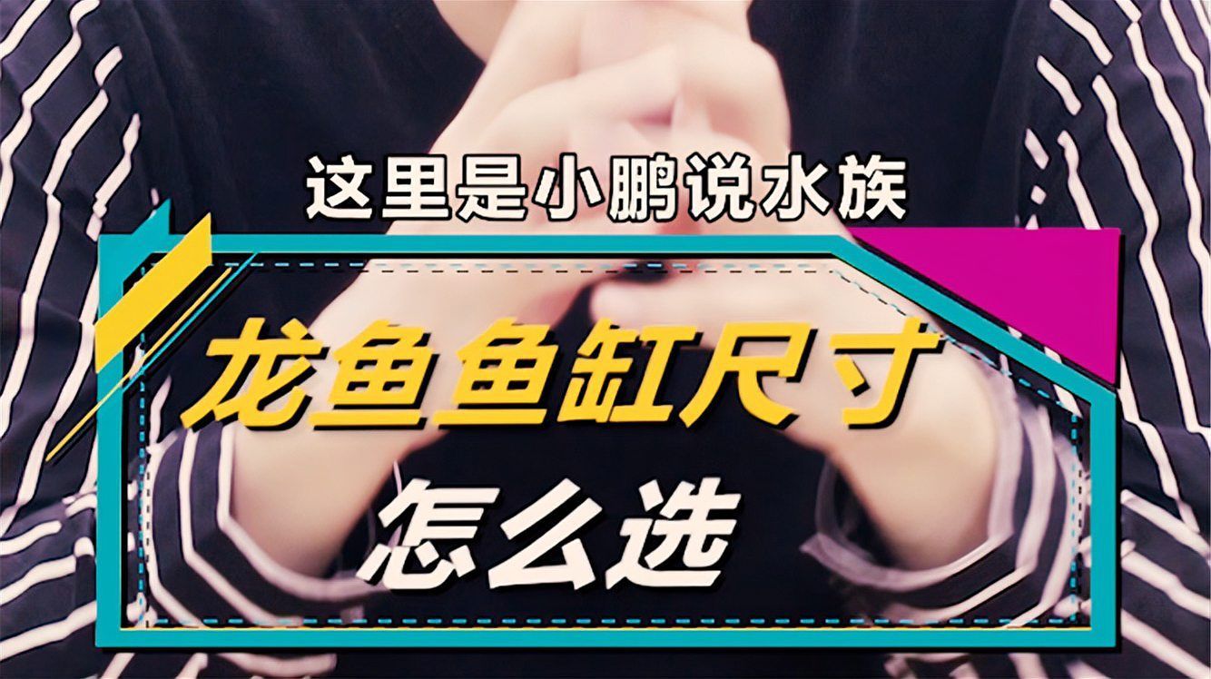 銀龍魚適合多大的魚缸，銀龍魚多久換一次水