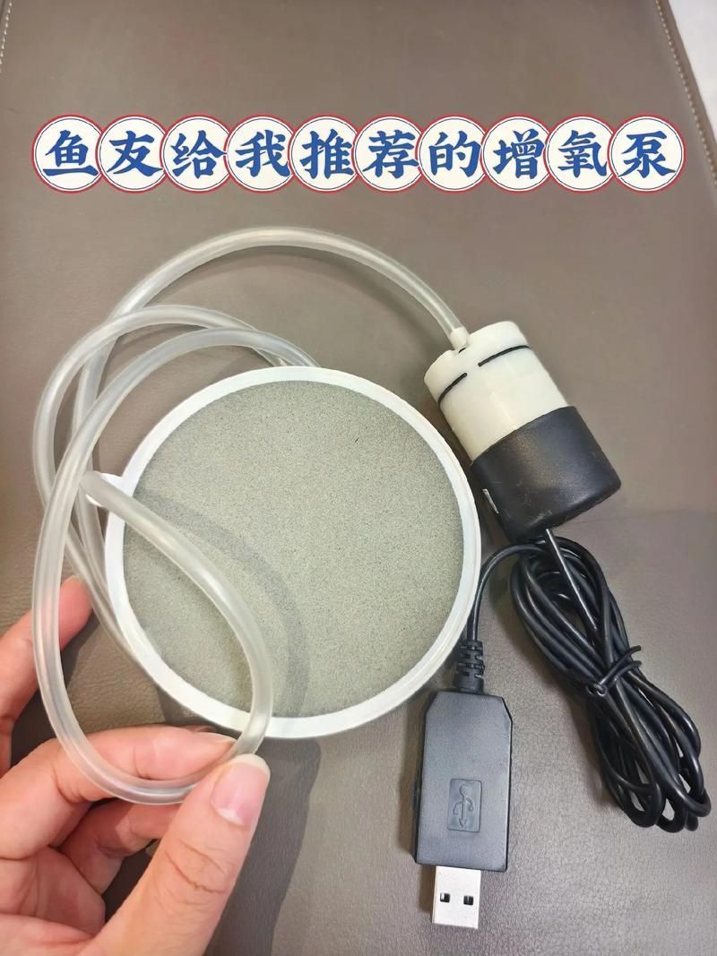 金龍魚沉底后如何救它？，金龍魚沉底后如何救助