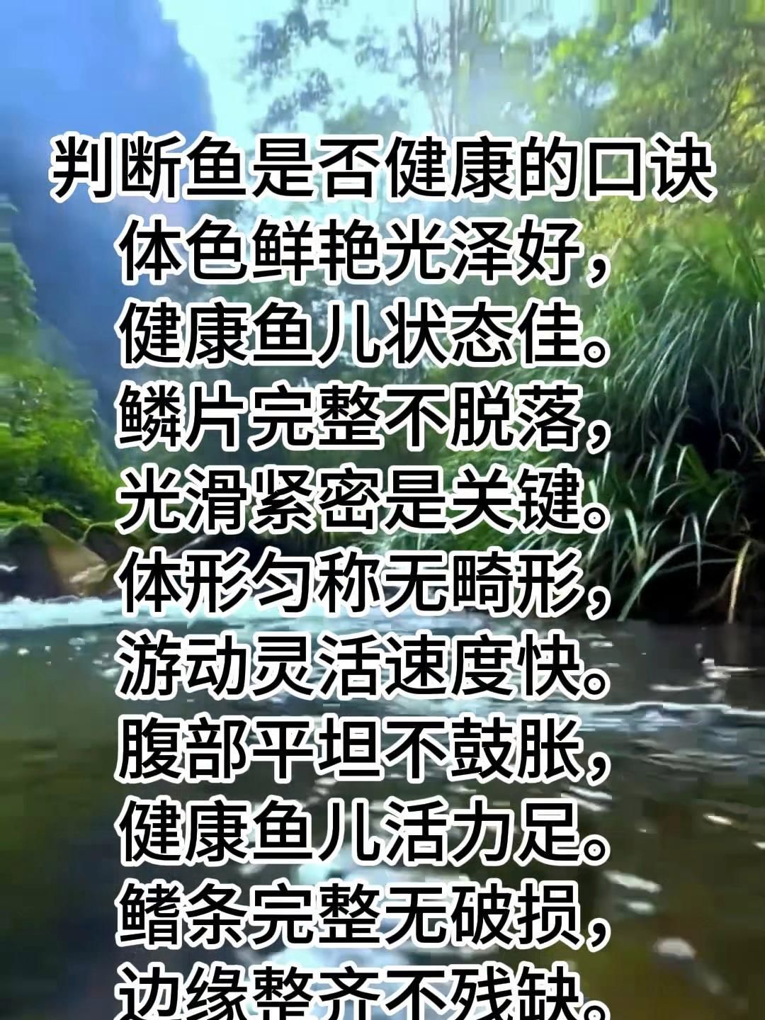 如何判斷魚群是否健康，判斷魚群是否健康不能僅憑“魚還活著”或“水看起來挺清”來下結論