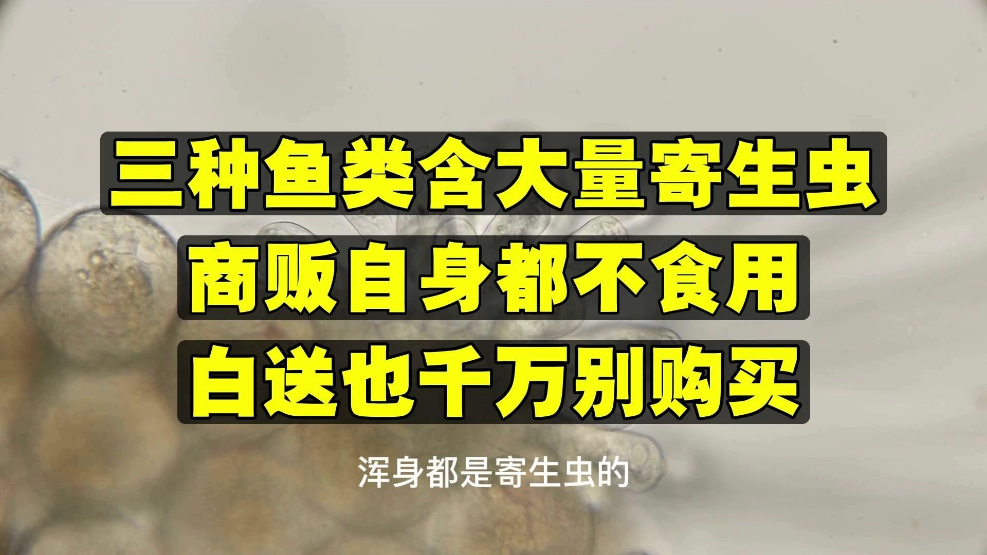 哪些魚類寄生蟲風險最高，10種常見魚類寄生蟲防治指南魚悅媽咪缸藝02:19