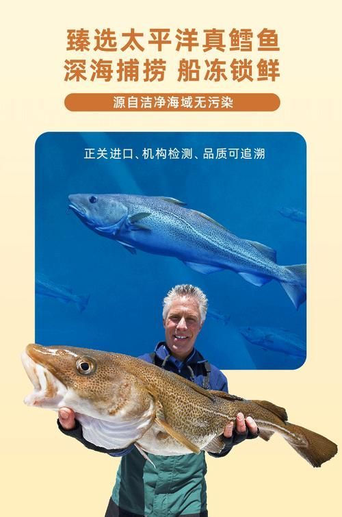 黃河鱈和龍魚有什么區別？，黃河鱈與龍魚的區別