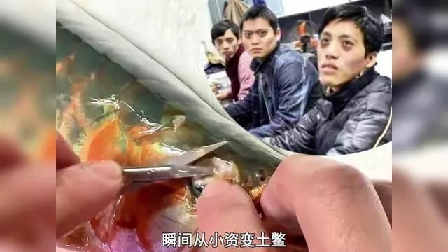 如何判斷龍魚胡子是否需要手術，如何判斷魚胡子是否需要手術