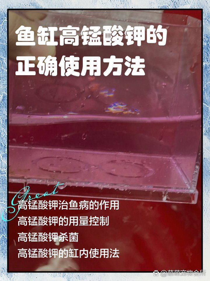 有哪些藥物可以有效治療龍魚外細菌感染，治療龍魚外細菌感染的藥物治療龍魚外細菌感染的藥物