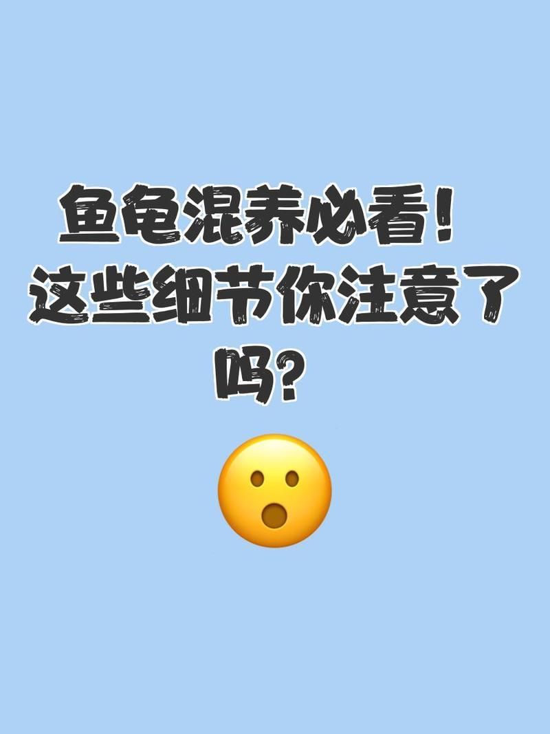 烏龜和魚混養有哪些常見問題，烏龜和魚混養有哪些成功案例 烏龜和魚混養有哪些常見問題，烏龜和魚混養有哪些成功案例 龍魚百科 第1張