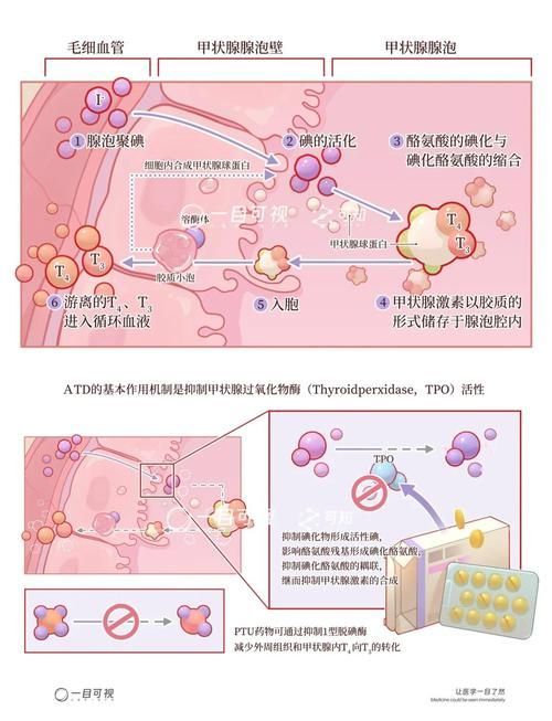 哪些藥物可以聯(lián)合使用，acei/arb+arb+arb+ 哪些藥物可以聯(lián)合使用，acei/arb+arb+arb+ 龍魚百科 第2張