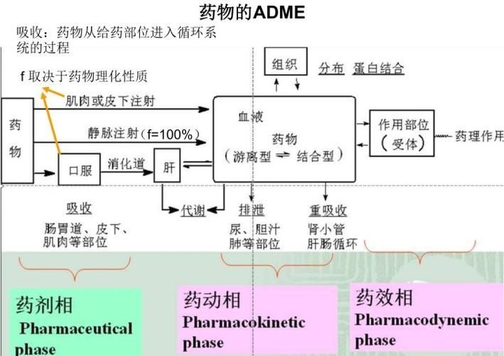 哪些藥物可以聯(lián)合使用，acei/arb+arb+arb+ 哪些藥物可以聯(lián)合使用，acei/arb+arb+arb+ 龍魚百科 第3張