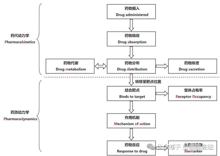 哪些藥物可以聯(lián)合使用，acei/arb+arb+arb+ 哪些藥物可以聯(lián)合使用，acei/arb+arb+arb+ 龍魚百科 第1張