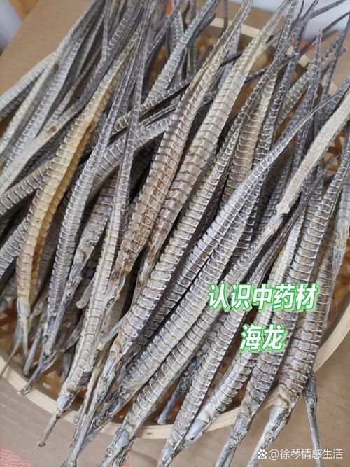 如何辨別受保護(hù)的海龍魚品種,受保護(hù)海龍魚品種的高清圖、形態(tài)對比圖、形態(tài)對比圖 龍魚百科 第6張 如何辨別受保護(hù)的海龍魚品種,受保護(hù)海龍魚品種的高清圖、形態(tài)對比圖、形態(tài)對比圖 如何辨別受保護(hù)的海龍魚品種,受保護(hù)海龍魚品種的高清圖、形態(tài)對比圖、形態(tài)對比圖 龍魚百科 第6張