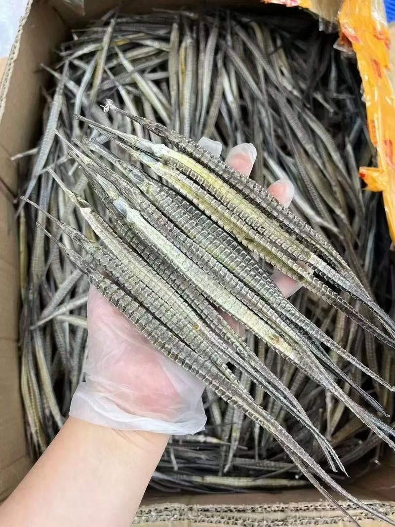 如何辨別受保護(hù)的海龍魚品種,受保護(hù)海龍魚品種的高清圖、形態(tài)對比圖、形態(tài)對比圖 龍魚百科 第5張 如何辨別受保護(hù)的海龍魚品種,受保護(hù)海龍魚品種的高清圖、形態(tài)對比圖、形態(tài)對比圖 如何辨別受保護(hù)的海龍魚品種,受保護(hù)海龍魚品種的高清圖、形態(tài)對比圖、形態(tài)對比圖 龍魚百科 第5張