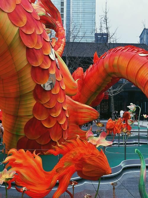 寬城滿族龍魚有哪些特點(diǎn)？，寬城滿族龍魚的特點(diǎn)
