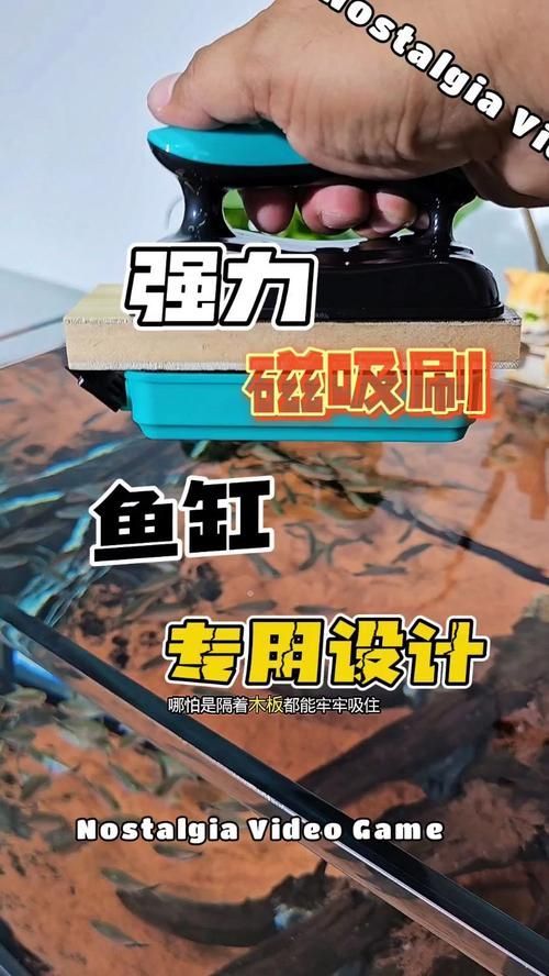 如何保養和清潔亞克力魚缸，亞克力魚缸保養與亞克力魚缸保養與清潔核心知識要求