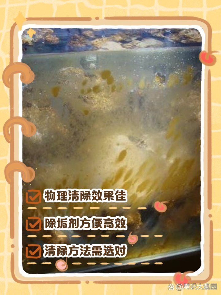 如何保養和清潔亞克力魚缸，亞克力魚缸保養與亞克力魚缸保養與清潔核心知識要求