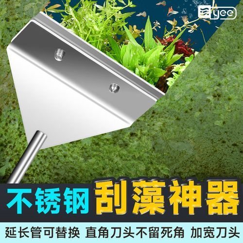 如何保養和清潔亞克力魚缸，亞克力魚缸保養與亞克力魚缸保養與清潔核心知識要求