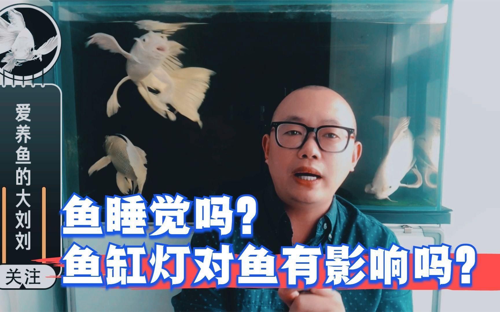 魚(yú)缸夜燈應(yīng)該開(kāi)多長(zhǎng)時(shí)間，如何設(shè)置魚(yú)缸的定時(shí)燈光？ 魚(yú)缸夜燈應(yīng)該開(kāi)多長(zhǎng)時(shí)間，如何設(shè)置魚(yú)缸的定時(shí)燈光？ 龍魚(yú)百科 第2張
