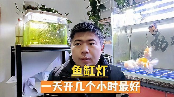 魚(yú)缸夜燈應(yīng)該開(kāi)多長(zhǎng)時(shí)間，如何設(shè)置魚(yú)缸的定時(shí)燈光？ 魚(yú)缸夜燈應(yīng)該開(kāi)多長(zhǎng)時(shí)間，如何設(shè)置魚(yú)缸的定時(shí)燈光？ 龍魚(yú)百科 第1張