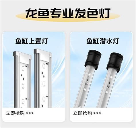 有哪些適合龍魚的照明燈具？