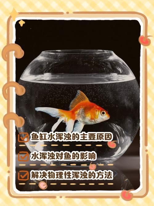 觀賞魚缸水渾濁原因和解決方案，觀賞魚缸水渾濁怎么辦