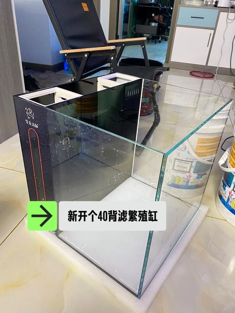 過背金龍最建議買的三樣東西，權威水族飼養指南與過背金龍飼養指南與過背金龍飼養指南