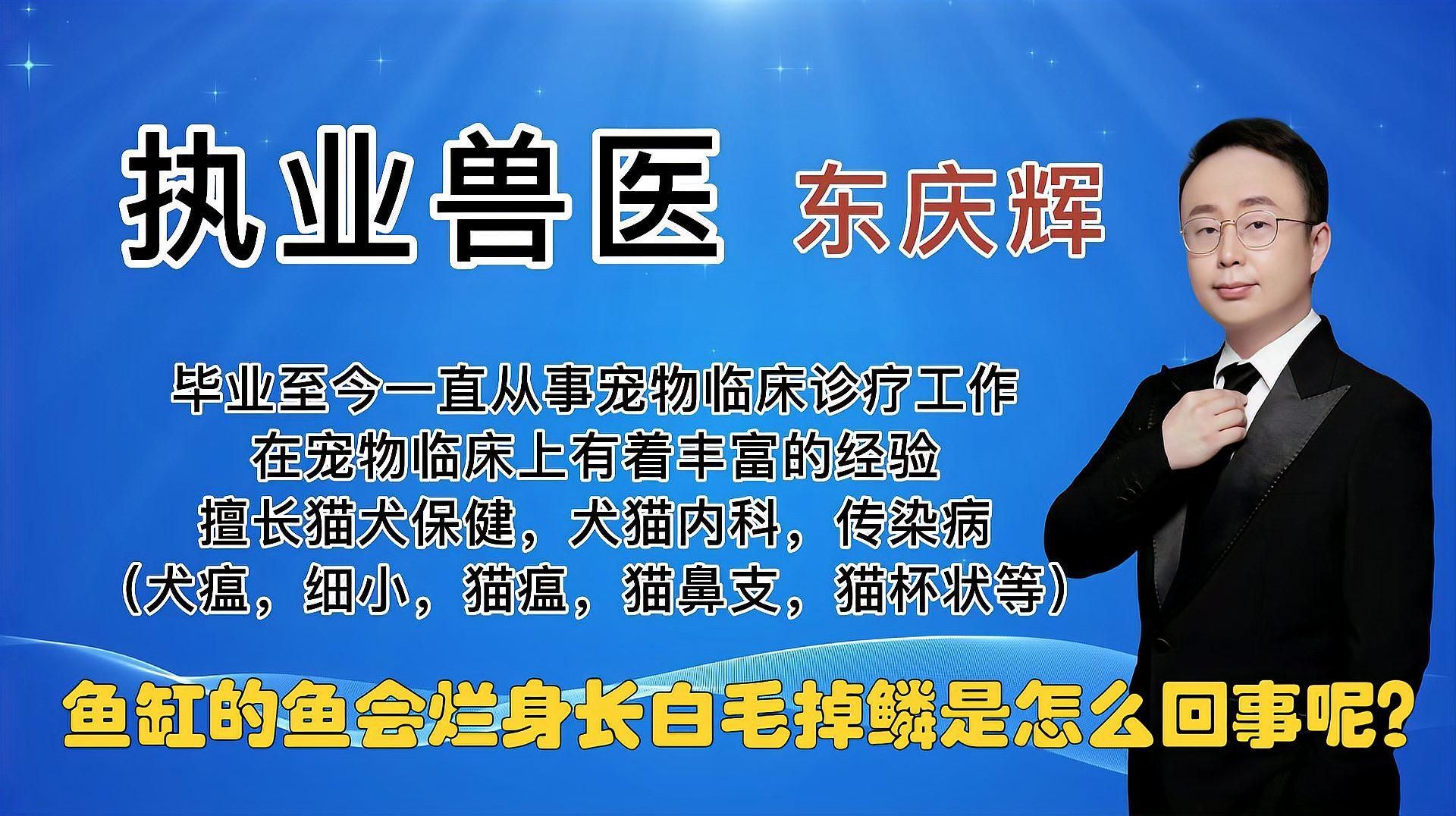 如何判斷魚身上潰爛的原因，魚身上潰爛的原因及解決方法 如何判斷魚身上潰爛的原因，魚身上潰爛的原因及解決方法 龍魚百科 第3張