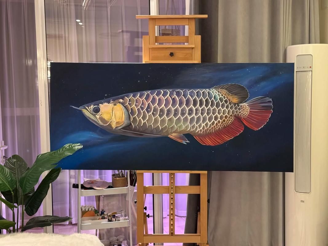 如何判斷金龍魚的品相和鱗片亮度？