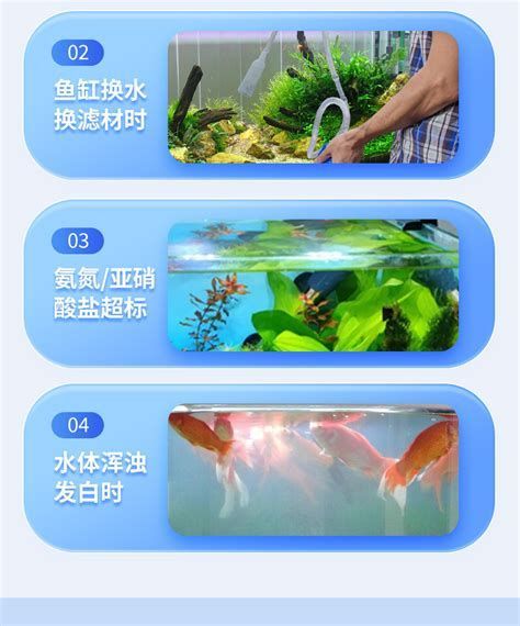 龍魚爛鰓最忌三種東西，導致龍魚爛鰓病的三種主要因素