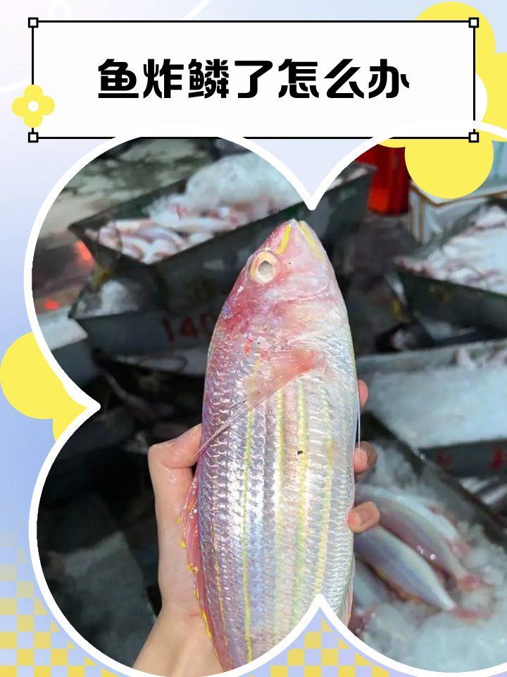 炸鱗病的治療周期一般多久，如何判斷炸鱗病是否好轉(zhuǎn)，炸鱗病治療期間需要換水嗎
