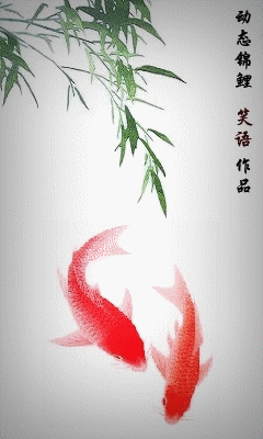給我推薦一些高清的龍魚動態壁紙,高清龍魚動態壁紙推薦 龍魚百科 第15張 給我推薦一些高清的龍魚動態壁紙,高清龍魚動態壁紙推薦 給我推薦一些高清的龍魚動態壁紙,高清龍魚動態壁紙推薦 龍魚百科 第15張