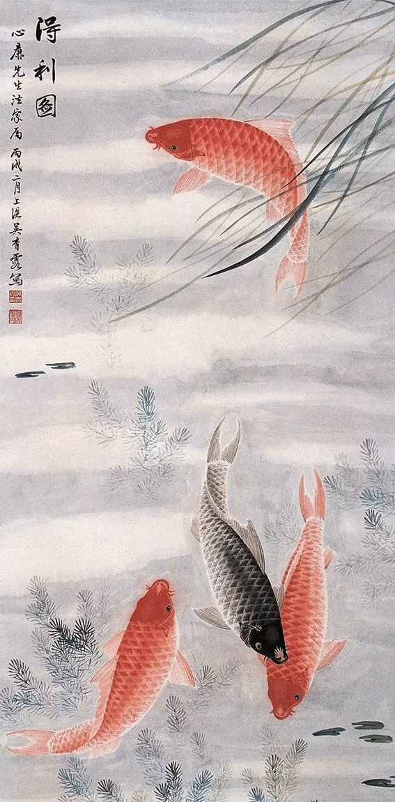 給我推薦一些高清的龍魚動態壁紙,高清龍魚動態壁紙推薦 龍魚百科 第17張 給我推薦一些高清的龍魚動態壁紙,高清龍魚動態壁紙推薦 給我推薦一些高清的龍魚動態壁紙,高清龍魚動態壁紙推薦 龍魚百科 第17張