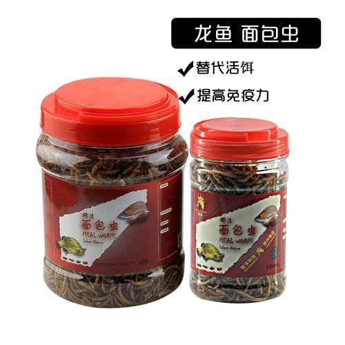 面包蟲作為龍魚餌料有哪些優點？，面包蟲作為龍魚餌料具有多個優點