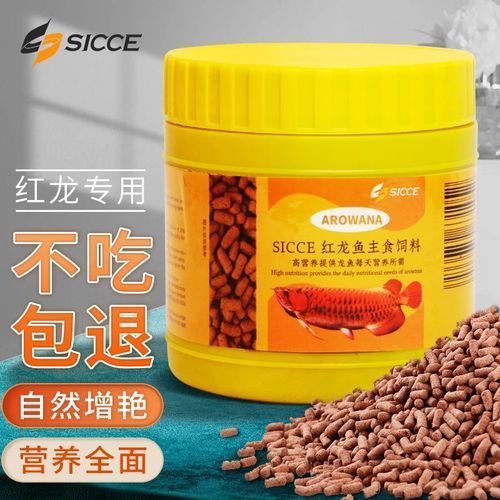 面包蟲作為龍魚餌料有哪些優點？，面包蟲作為龍魚餌料具有多個優點