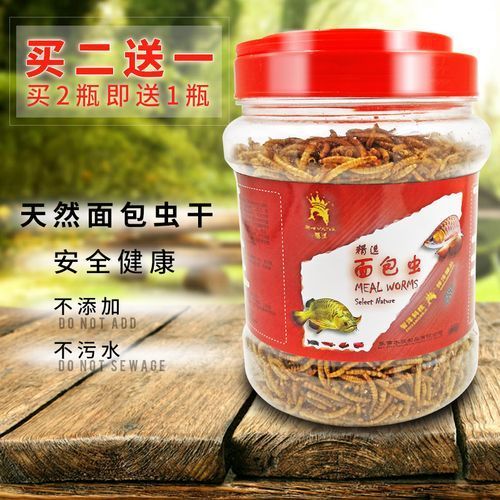 面包蟲作為龍魚餌料有哪些優點？，面包蟲作為龍魚餌料具有多個優點