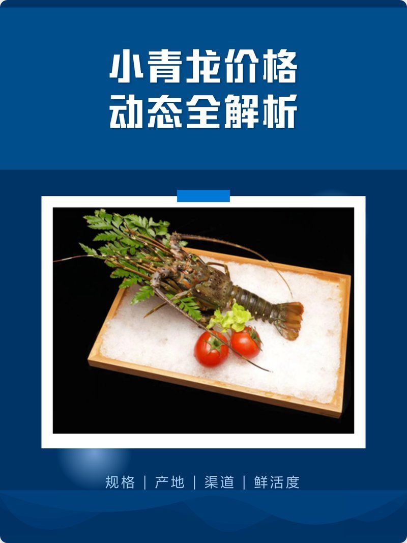 小青龍魚(yú)的價(jià)格是多少？，小青龍價(jià)格動(dòng)態(tài)全解析 小青龍魚(yú)的價(jià)格是多少？，小青龍價(jià)格動(dòng)態(tài)全解析 龍魚(yú)百科 第3張