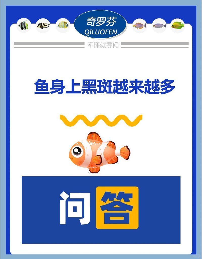 龍魚鱗片黑斑如何預防復發，龍魚鱗片黑斑復發的措施包括預防龍魚黑斑復發的措施