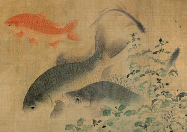 推薦一些龍魚繪畫的名家作品 推薦一些龍魚繪畫的名家作品 龍魚百科 第5張