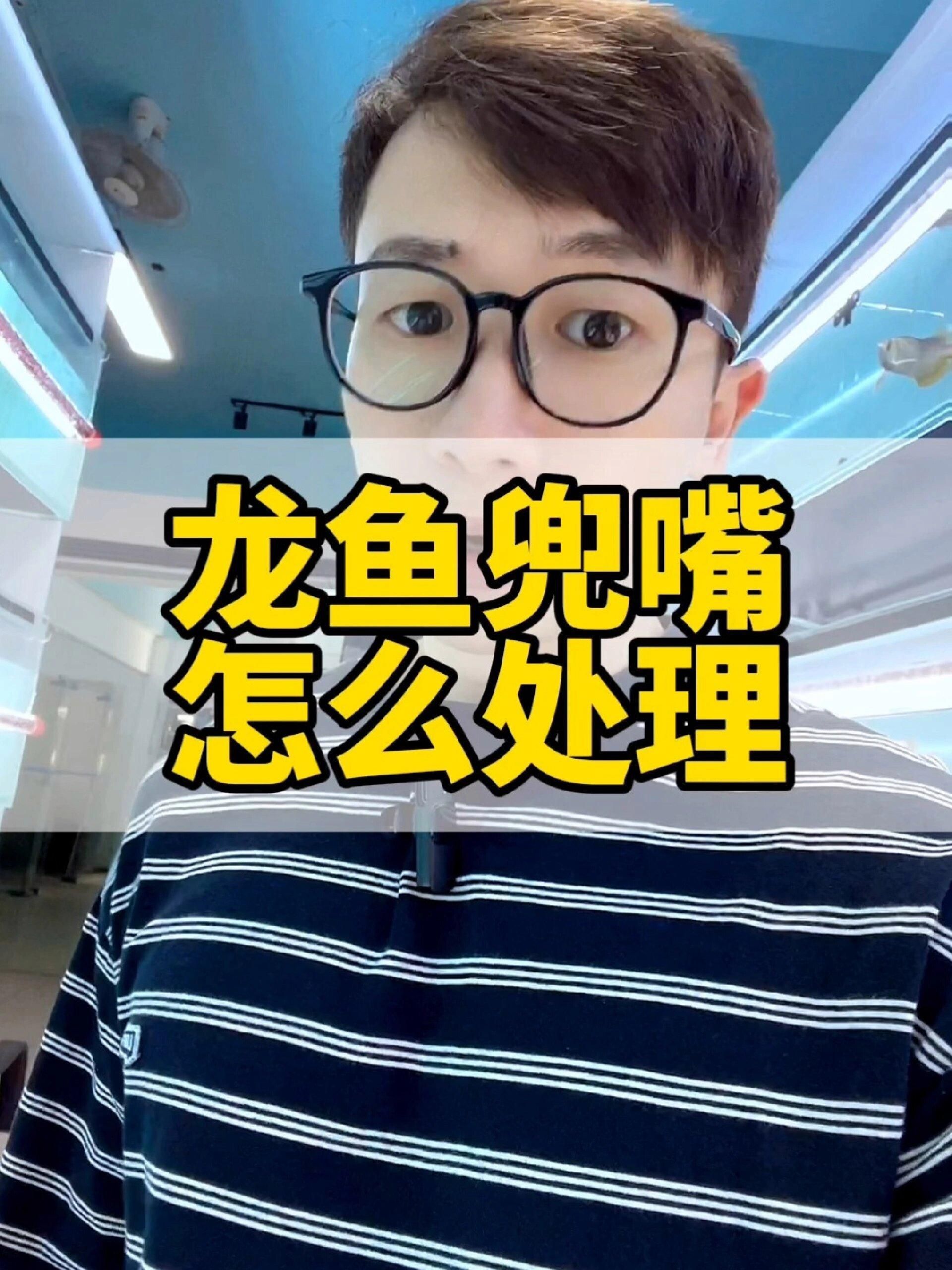 龍魚兜嘴會自行恢復嗎？，龍魚兜嘴怎么辦？ 龍魚兜嘴會自行恢復嗎？，龍魚兜嘴怎么辦？ 龍魚百科 第1張