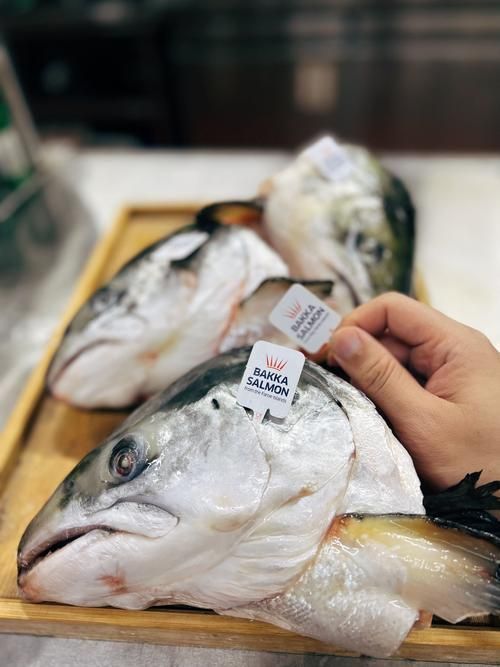 哪些魚類需要額外補充維生素,三文魚養殖技術——維生素c 龍魚百科 第4張 哪些魚類需要額外補充維生素,三文魚養殖技術——維生素c 哪些魚類需要額外補充維生素,三文魚養殖技術——維生素c 龍魚百科 第4張