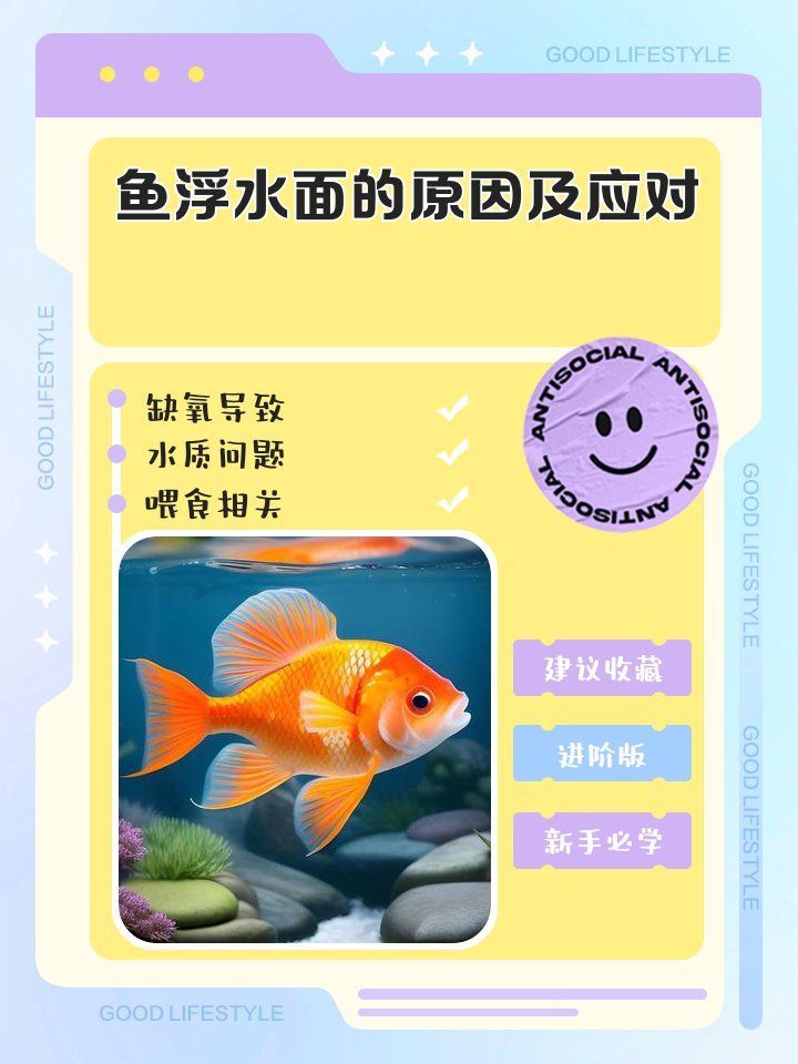 哪些措施可以預(yù)防魚浮頭，養(yǎng)殖魚浮頭，浮頭的措施主要包括以下幾個(gè)方面信號(hào)
