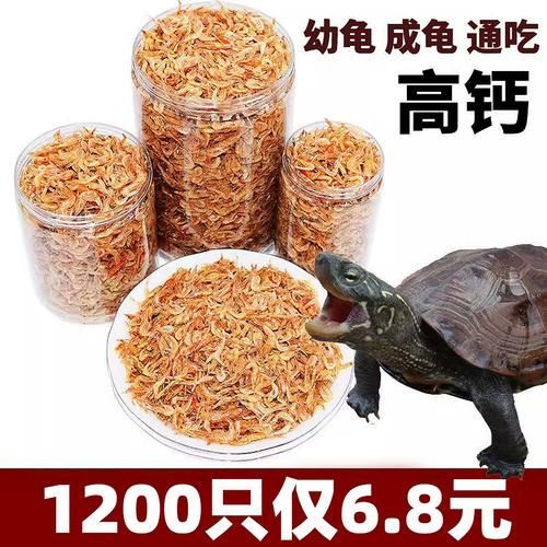 如何科學(xué)飼養(yǎng)烏龜,烏龜科學(xué)飼養(yǎng)指南 龍魚百科 第10張 如何科學(xué)飼養(yǎng)烏龜,烏龜科學(xué)飼養(yǎng)指南 如何科學(xué)飼養(yǎng)烏龜,烏龜科學(xué)飼養(yǎng)指南 龍魚百科 第10張