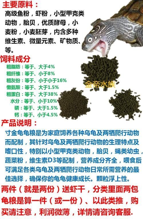 如何科學(xué)飼養(yǎng)烏龜,烏龜科學(xué)飼養(yǎng)指南 龍魚百科 第11張 如何科學(xué)飼養(yǎng)烏龜,烏龜科學(xué)飼養(yǎng)指南 如何科學(xué)飼養(yǎng)烏龜,烏龜科學(xué)飼養(yǎng)指南 龍魚百科 第11張