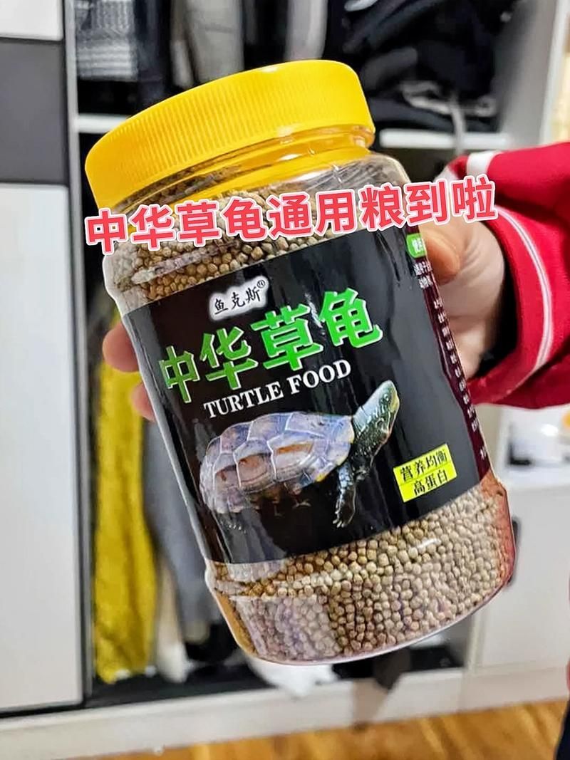 如何科學(xué)飼養(yǎng)烏龜,烏龜科學(xué)飼養(yǎng)指南 龍魚百科 第8張 如何科學(xué)飼養(yǎng)烏龜,烏龜科學(xué)飼養(yǎng)指南 如何科學(xué)飼養(yǎng)烏龜,烏龜科學(xué)飼養(yǎng)指南 龍魚百科 第8張
