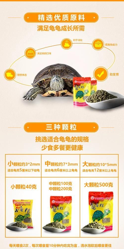 如何科學(xué)飼養(yǎng)烏龜,烏龜科學(xué)飼養(yǎng)指南 龍魚百科 第9張 如何科學(xué)飼養(yǎng)烏龜,烏龜科學(xué)飼養(yǎng)指南 如何科學(xué)飼養(yǎng)烏龜,烏龜科學(xué)飼養(yǎng)指南 龍魚百科 第9張