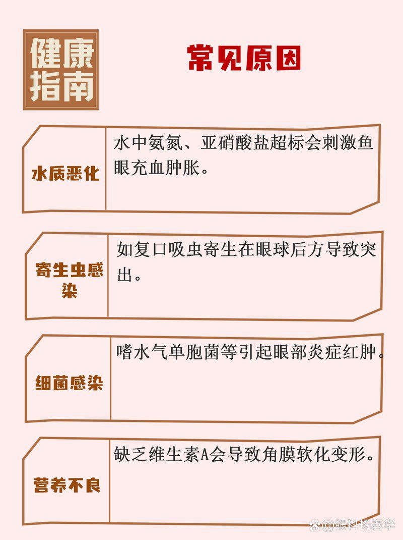 給我一些治療魚突眼的偏方（人類），魚突眼偏方中哪個最有效 給我一些治療魚突眼的偏方（人類），魚突眼偏方中哪個最有效 龍魚百科 第1張