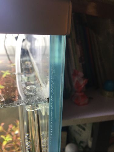 如何判斷魚缸的質量？，優(yōu)質魚缸質量判斷魚缸質量的多維度核心信息判斷標準