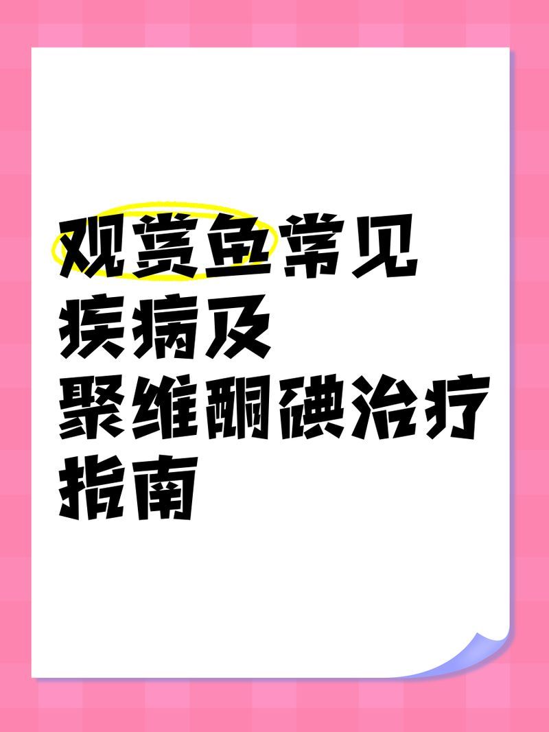 龍魚受傷后如何預防感染 龍魚受傷后如何預防感染 龍魚百科 第6張