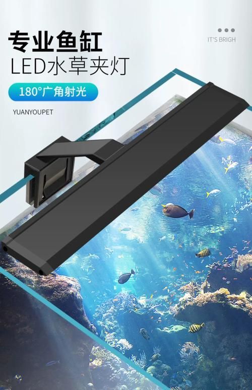 有哪些類型的魚缸燈光可供選擇？，常見的魚缸燈光類型